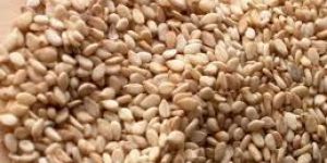 Natural Sesame Seed