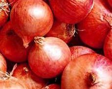 Fresh Onion