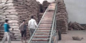 Sugar Bag Conveyors