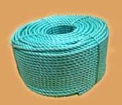 PP Danline Rope