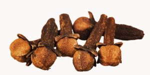 Cloves