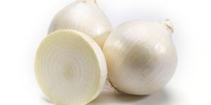 Fresh White Onion