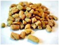 Fenugreek Seeds, Fenugreek