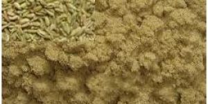Fennel Powder