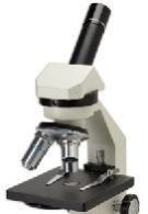 Scientific Microscopes