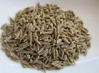 Cumin Seed Spice
