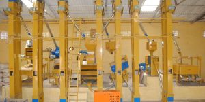 Rice Mill Plant