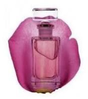 Natural Indian Attars