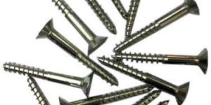 Stainless Steel Screw