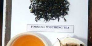 Formosa Pouchong Tea