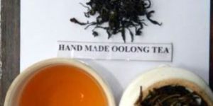 Oolong Tea