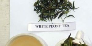 White Peony Tea