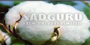 Sadguru Raw Cotton