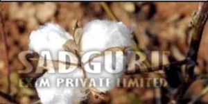 Sadguru Raw Cotton