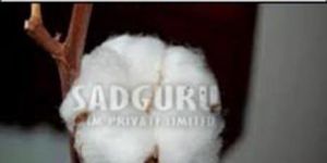 Sadguru L.r.a Raw Cotton