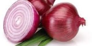 Fresh Red Onion