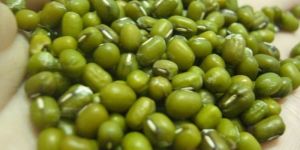 Green Mung Beans
