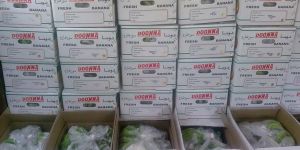 Doonna Cavendish Banana