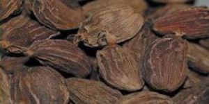 Whole Black Cardamom