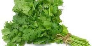 Coriander Leaf