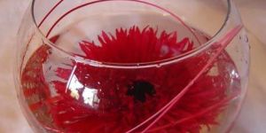 Decorative Flower Bowl