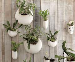 Ceramic Plant Pots