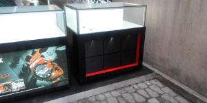 Watch Display Counters