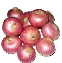 Natural Fresh Onion