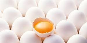 Egg