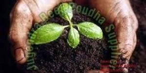 Bio Fertilizer