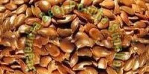 Medicinal Plant Seeds