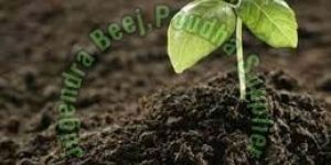 Organic Fertilizer