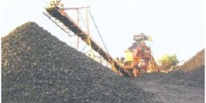 Indonesian Steam Coal