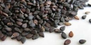 Black Sesame Seeds