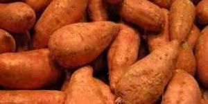 Sweet Potato