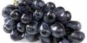 Black Seedless Grapes