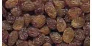 Malayer Raisins
