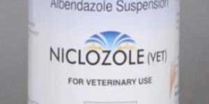 Niclozole Suspension