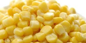 Yellow Corn Maize