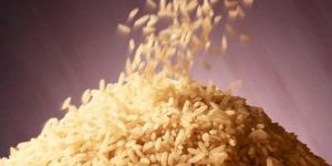 Polished Basmati Rice