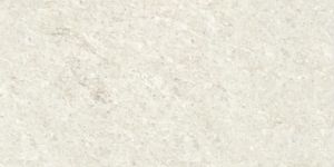 Dark Colour Polished Tile 800x800