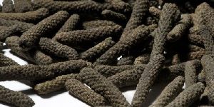 Whole Long Pepper