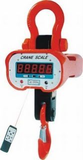 Crane Scale