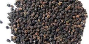 Black Pepper Seeds