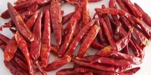 Dried Red Chillies