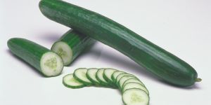 Cucumber