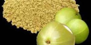 Dehydrated Amla Powder