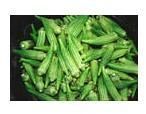 Okra