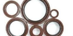 Viton Oil Seal