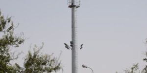 Telecom Monopoles
